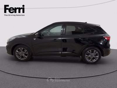 Ford Kuga 2.0 ecoblue ST-Line X 2wd 120cv auto Nero usata Cesena