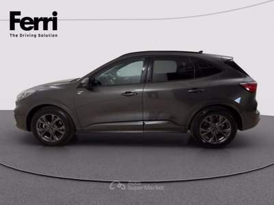 Ford Kuga 2.5 full hybrid ST-Line 2wd 190cv cvt Grigio usata Cesena