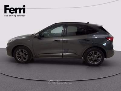 Ford Kuga 1.5 ecoblue ST-Line 2wd 120cv Grigio usata Cesena