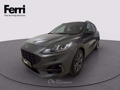 Ford Kuga 1.5 ecoblue ST-Line 2wd 120cv Grigio usata Cesena