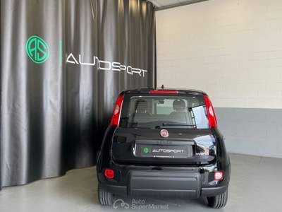 Fiat Panda 1.0 FireFly S&S Hybrid Nero usata Leini