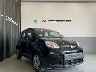 Fiat Panda 1.0 FireFly S&S Hybrid Nero usata Leini