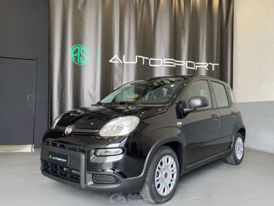 Fiat Panda 1.0 FireFly S&S Hybrid Nero usata Leini