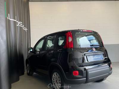 Fiat Panda 1.0 FireFly S&S Hybrid Nero usata Leini