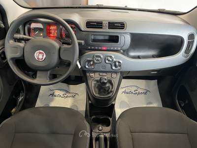 Fiat Panda 1.0 FireFly S&S Hybrid Nero usata Leini