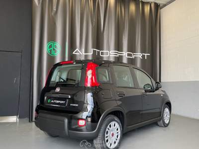 Fiat Panda 1.0 FireFly S&S Hybrid Nero usata Leini