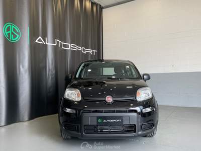 Fiat Panda 1.0 FireFly S&S Hybrid Nero usata Leini