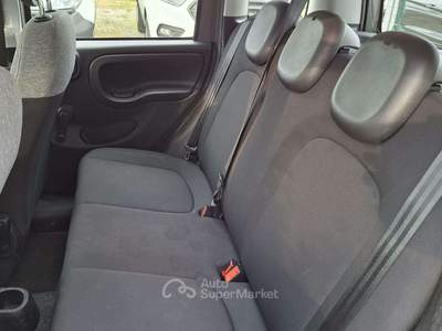 Fiat Panda 1.0 firefly hybrid 70cv - 5 posti Grigio usata Castiglione delle Stiviere