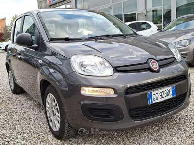 Fiat Panda 1.0 firefly hybrid 70cv - 5 posti Grigio usata Castiglione delle Stiviere