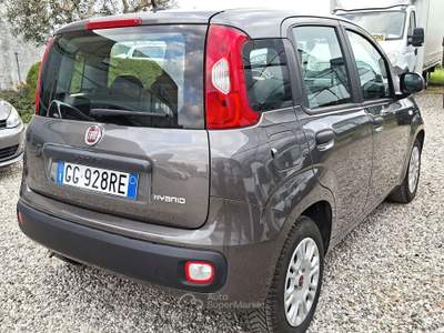 Fiat Panda 1.0 firefly hybrid 70cv - 5 posti Grigio usata Castiglione delle Stiviere