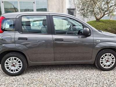 Fiat Panda 1.0 firefly hybrid 70cv - 5 posti Grigio usata Castiglione delle Stiviere