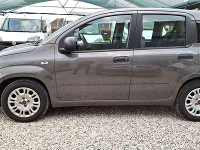 Fiat Panda 1.0 firefly hybrid 70cv - 5 posti Grigio usata Castiglione delle Stiviere
