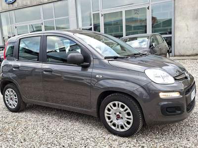 Fiat Panda 1.0 firefly hybrid 70cv - 5 posti Grigio usata Castiglione delle Stiviere