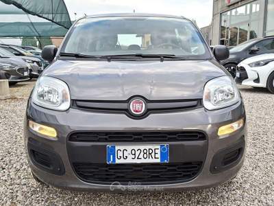 Fiat Panda 1.0 firefly hybrid 70cv - 5 posti Grigio usata Castiglione delle Stiviere