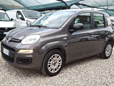 Fiat Panda 1.0 firefly hybrid 70cv - 5 posti Grigio usata Castiglione delle Stiviere