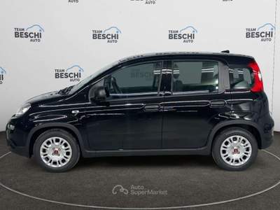 Fiat Panda 1.0 FireFly S&S Hybrid City Life Nero usata Lonato del Garda