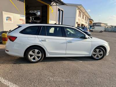 Skoda Octavia 1.5 tsi Executive Bianco usata Finale Emilia