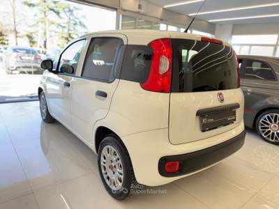 Fiat Panda S&S Pop ok neopatentati Bianco usata Pistoia