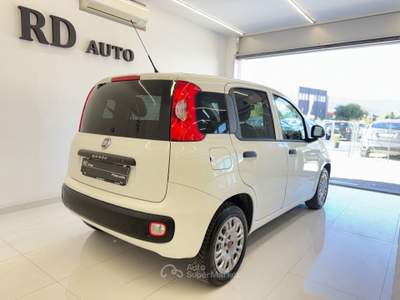 Fiat Panda S&S Pop ok neopatentati Bianco usata Pistoia