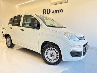 Fiat Panda S&S Pop ok neopatentati Bianco usata Pistoia