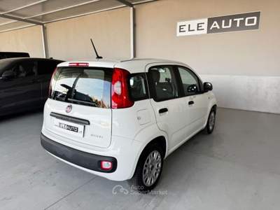 Fiat Panda 1.0 FireFly S&S Hybrid - Neopatentati Bianco usata Sedriano