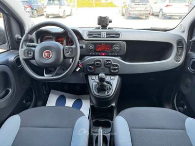 Fiat Panda 1.0 FireFly S&S Hybrid - Neopatentati Bianco usata Sedriano