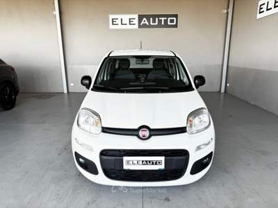Fiat Panda 1.0 FireFly S&S Hybrid - Neopatentati Bianco usata Sedriano