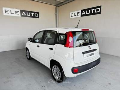 Fiat Panda 1.0 FireFly S&S Hybrid - Neopatentati Bianco usata Sedriano