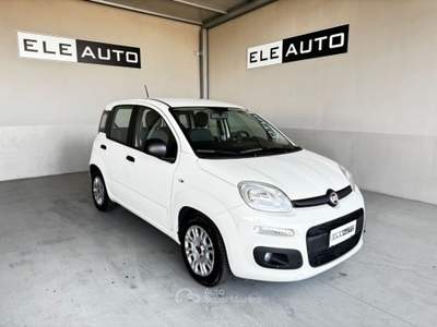Fiat Panda 1.0 FireFly S&S Hybrid - Neopatentati Bianco usata Sedriano