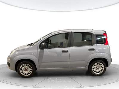 Fiat Panda 1.2 easypower gpl 69cv lounge Grigio usata Cerea