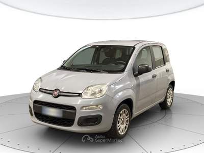 Fiat Panda 1.2 easypower gpl 69cv lounge Grigio usata Cerea