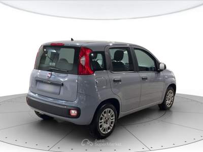 Fiat Panda 1.2 easypower gpl 69cv lounge Grigio usata Cerea