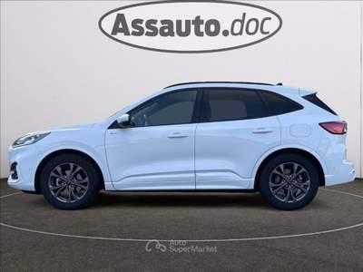 Ford Kuga 2.5 full hybrid ST-Line X 2wd 190cv cvt Bianco usata Gaglianico