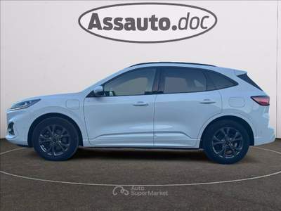 Ford Kuga 2.5 phev ST-Line X 2wd 225cv cvt Bianco usata Gaglianico
