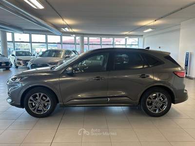 Ford Kuga 2.500 BENZINA FULL HYBRID 190 CV ST-LINE C.AUTO Grigio usata Alba