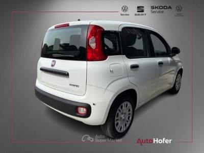 Fiat Pandina 1.0 Hybrid ICON Radio Clima 5P **AKTION** Bianco usata Chiusa