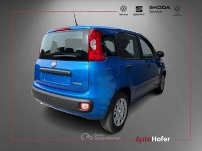 Fiat Pandina 1.0 Hybrid ICON Radio Clima 5P **AKTION** Blu/Azzurro usata Chiusa