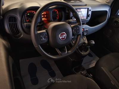 Fiat Panda Fiat Panda 1.0 FireFly S&S Hybrid Cross - NEOPATENTATI Bianco usata Pistoia