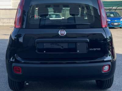 Fiat Pandina 1.0 FireFly 65 CV Hybrid Pop Nero usata Novara