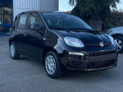 Fiat Pandina 1.0 FireFly 65 CV Hybrid Pop Nero usata Novara