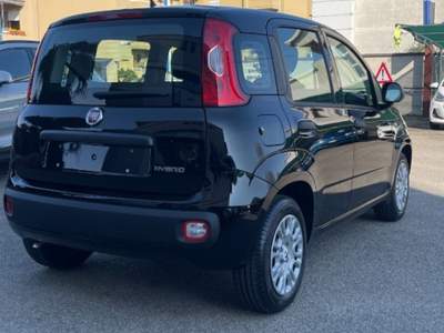 Fiat Pandina 1.0 FireFly 65 CV Hybrid Pop Nero usata Novara