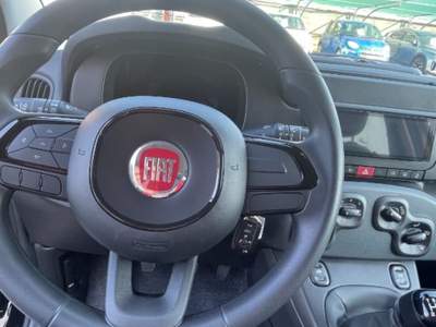 Fiat Pandina 1.0 FireFly 65 CV Hybrid Pop Nero usata Novara
