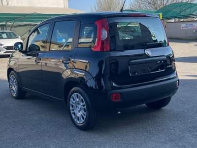 Fiat Pandina 1.0 FireFly 65 CV Hybrid Pop Nero usata Novara