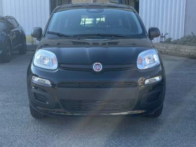 Fiat Pandina 1.0 FireFly 65 CV Hybrid Pop Nero usata Novara