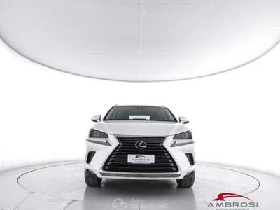 Lexus NX Hybrid 4WD Executive Bianco usata Corciano