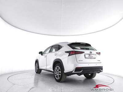 Lexus NX Hybrid 4WD Executive Bianco usata Corciano
