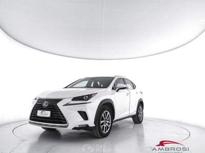 Lexus NX Hybrid 4WD Executive Bianco usata Corciano