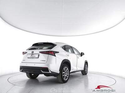 Lexus NX Hybrid 4WD Executive Bianco usata Corciano