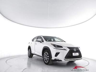 Lexus NX Hybrid 4WD Executive Bianco usata Corciano