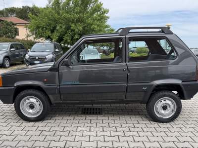 Fiat Panda 1ª serie 1100 i.e. cat 4x4 -30 anni - GPL Grigio usata Faenza